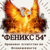 АН"Феникс 54"